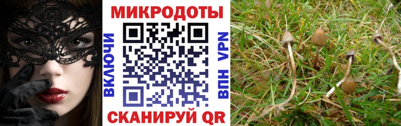 Галлюциногенные грибы GOLDEN TEACHER  Ижевск 